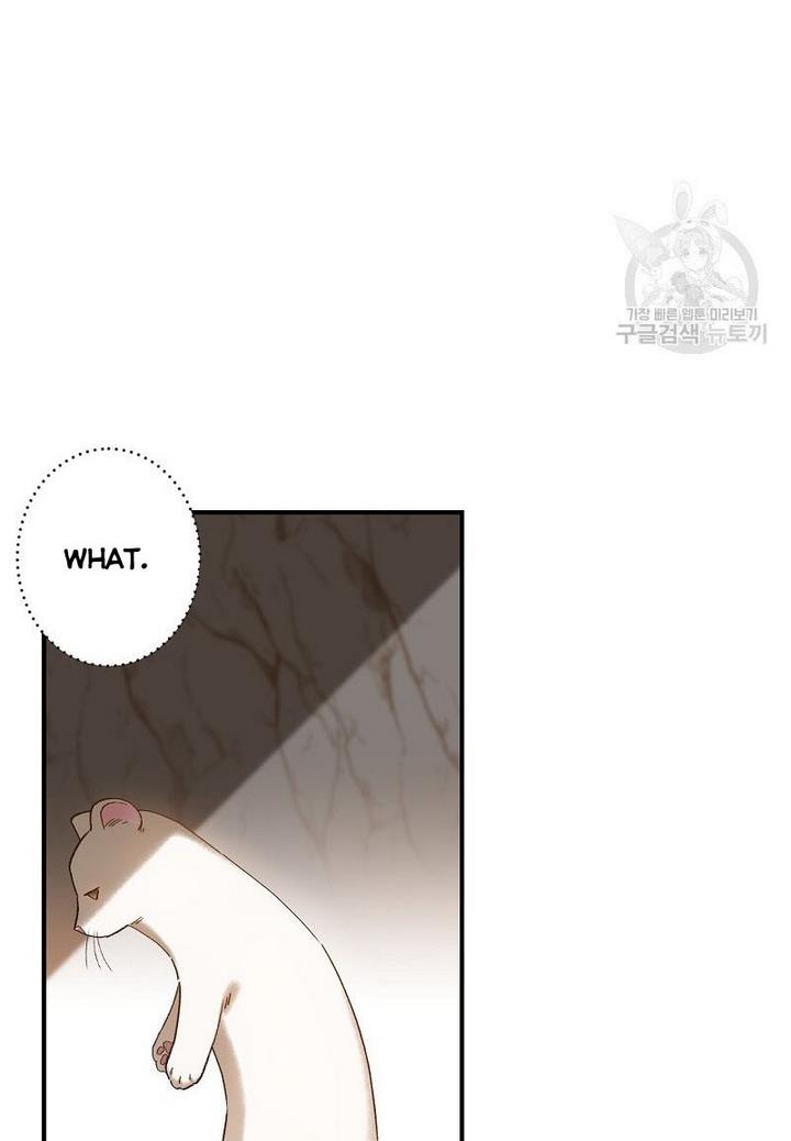 Death to the white ferret weasel chapter 4 page 23