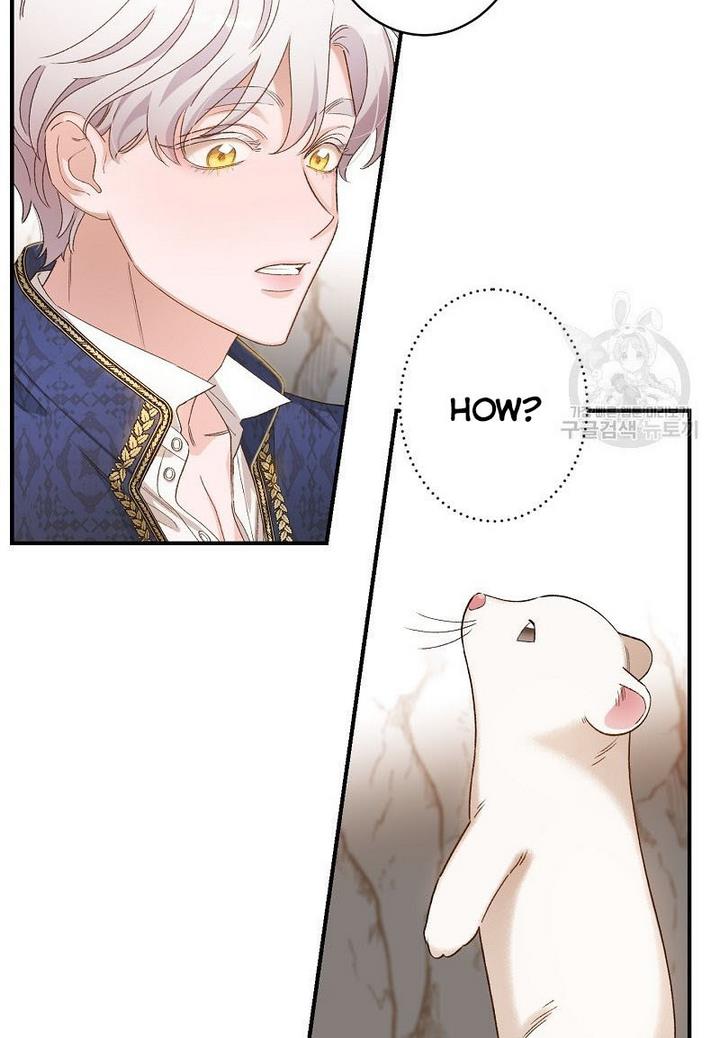 Death to the white ferret weasel chapter 4 page 41