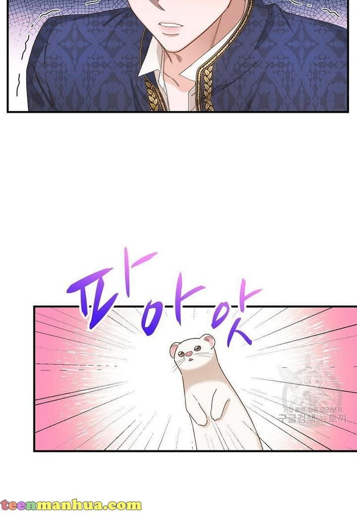 Death to the white ferret weasel chapter 4 page 53