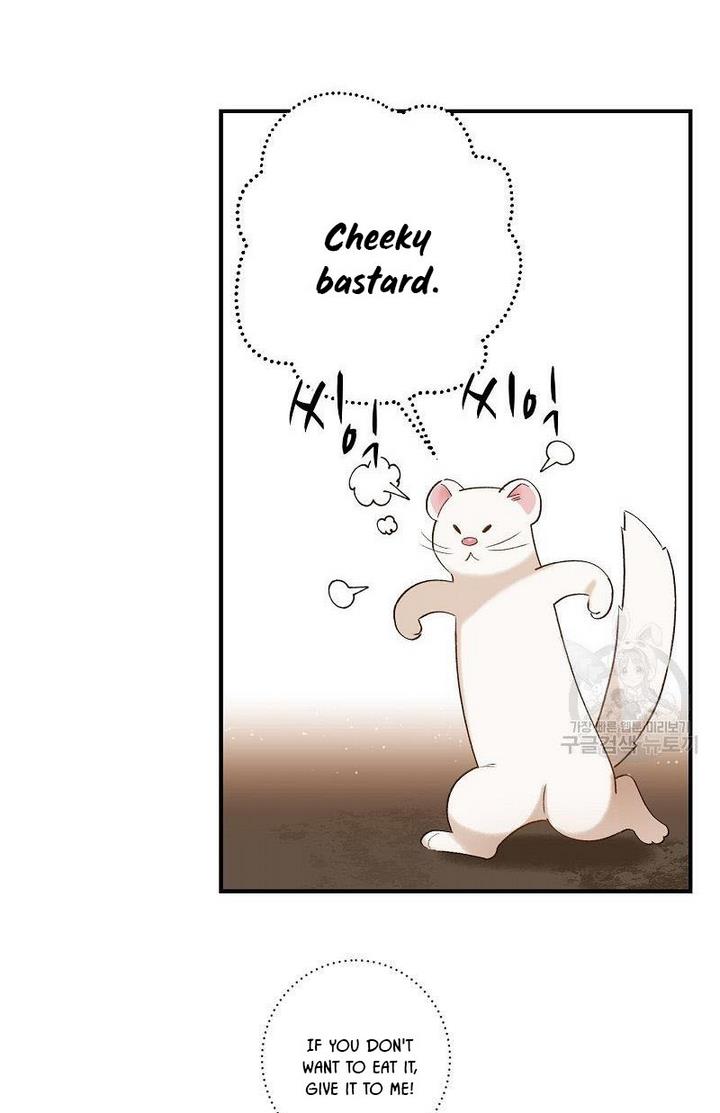 Death to the white ferret weasel chapter 6 page 6
