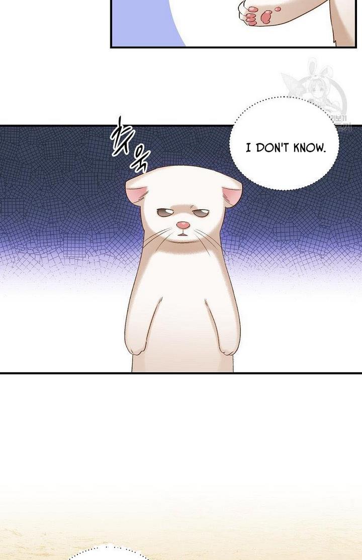 Death to the white ferret weasel chapter 6 page 10