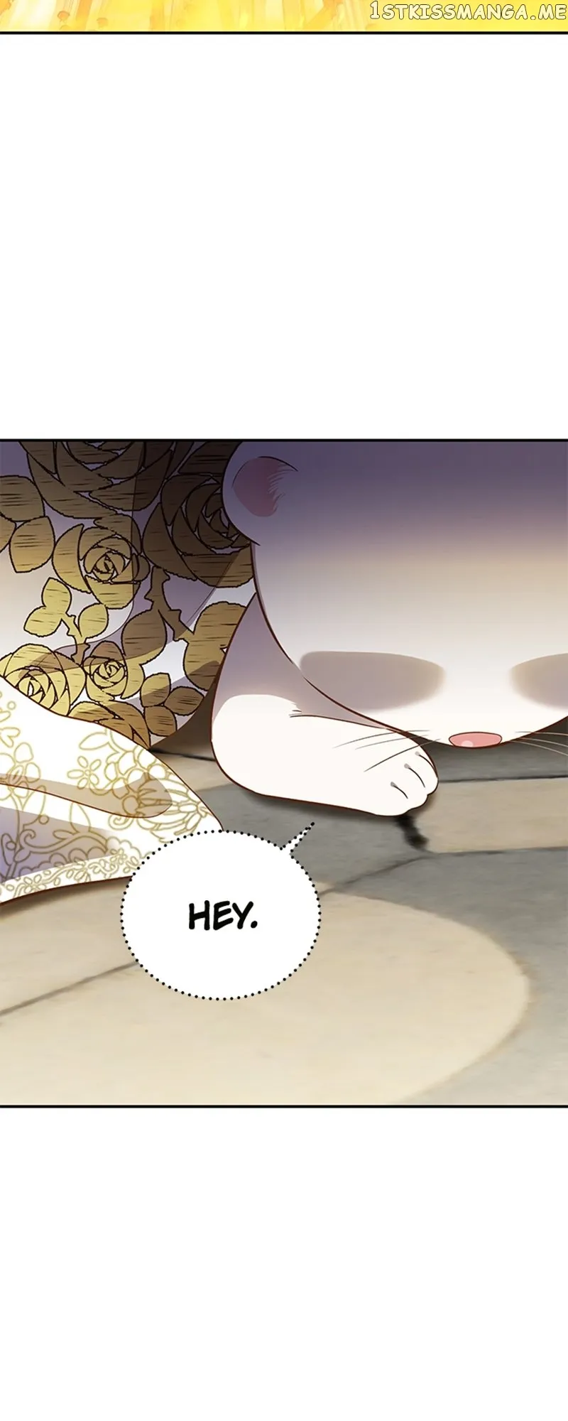 Death to the white ferret weasel chapter 69 page 6