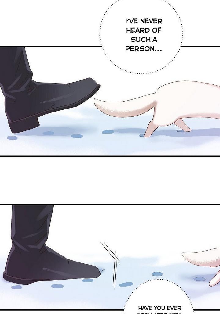 Death to the white ferret weasel chapter 7 page 19