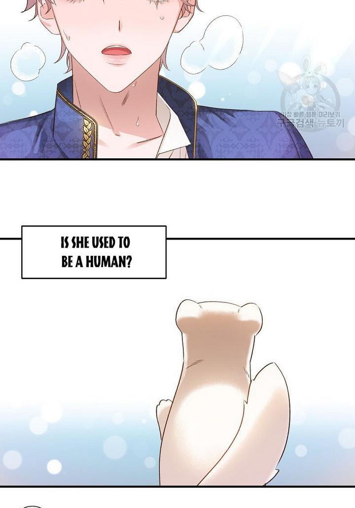 Death to the white ferret weasel chapter 7 page 4
