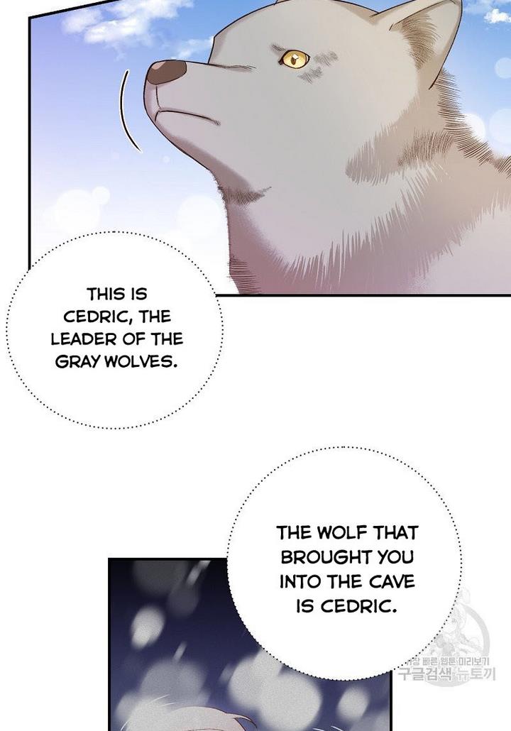Death to the white ferret weasel chapter 7 page 36