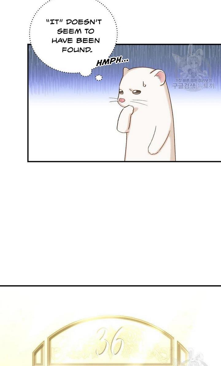 Death to the white ferret weasel chapter 9 page 46