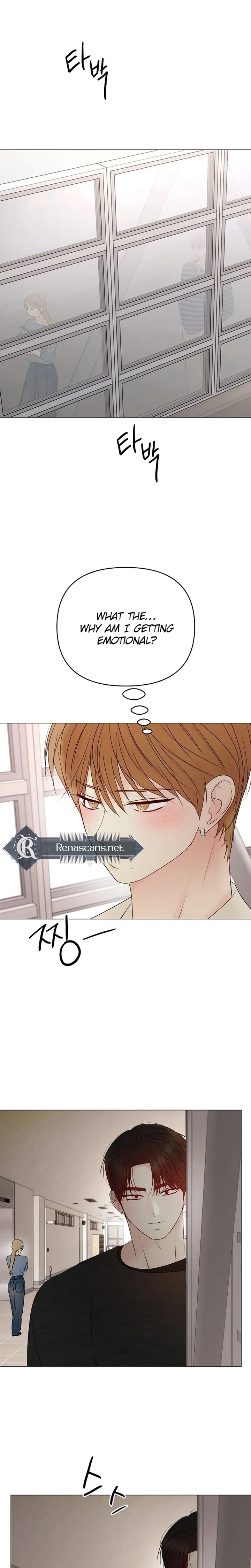The Perfect Male Lead chapter 48 page 13