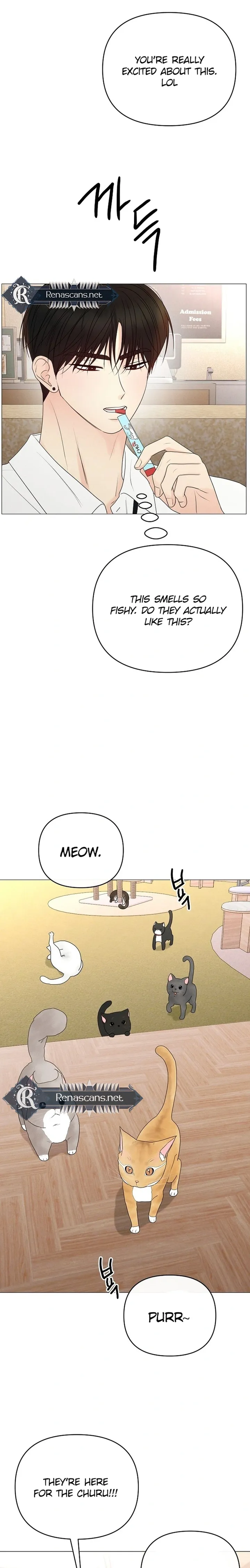 The Perfect Male Lead chapter 48 page 37