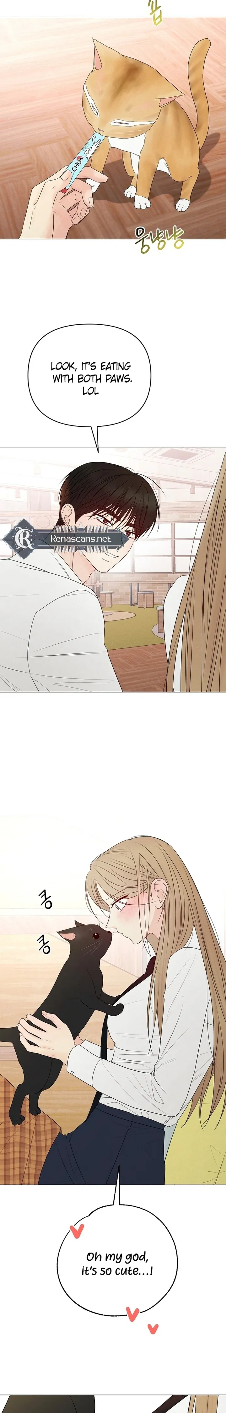 The Perfect Male Lead chapter 48 page 39