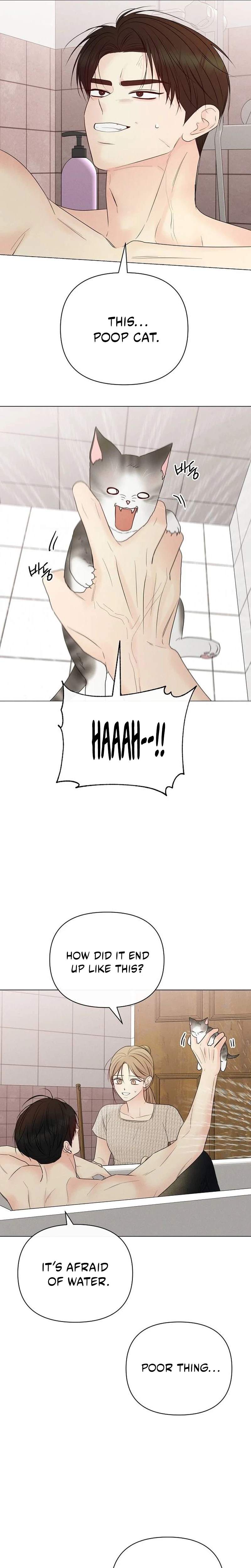 The Perfect Male Lead chapter 71 page 36