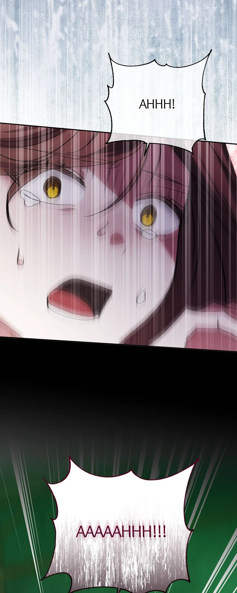 I Thought I was the Real Daughter chapter 48 page 64