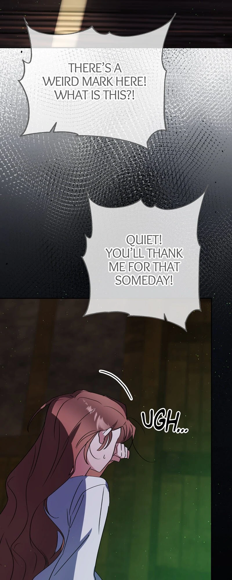 I Thought I was the Real Daughter chapter 49 page 13