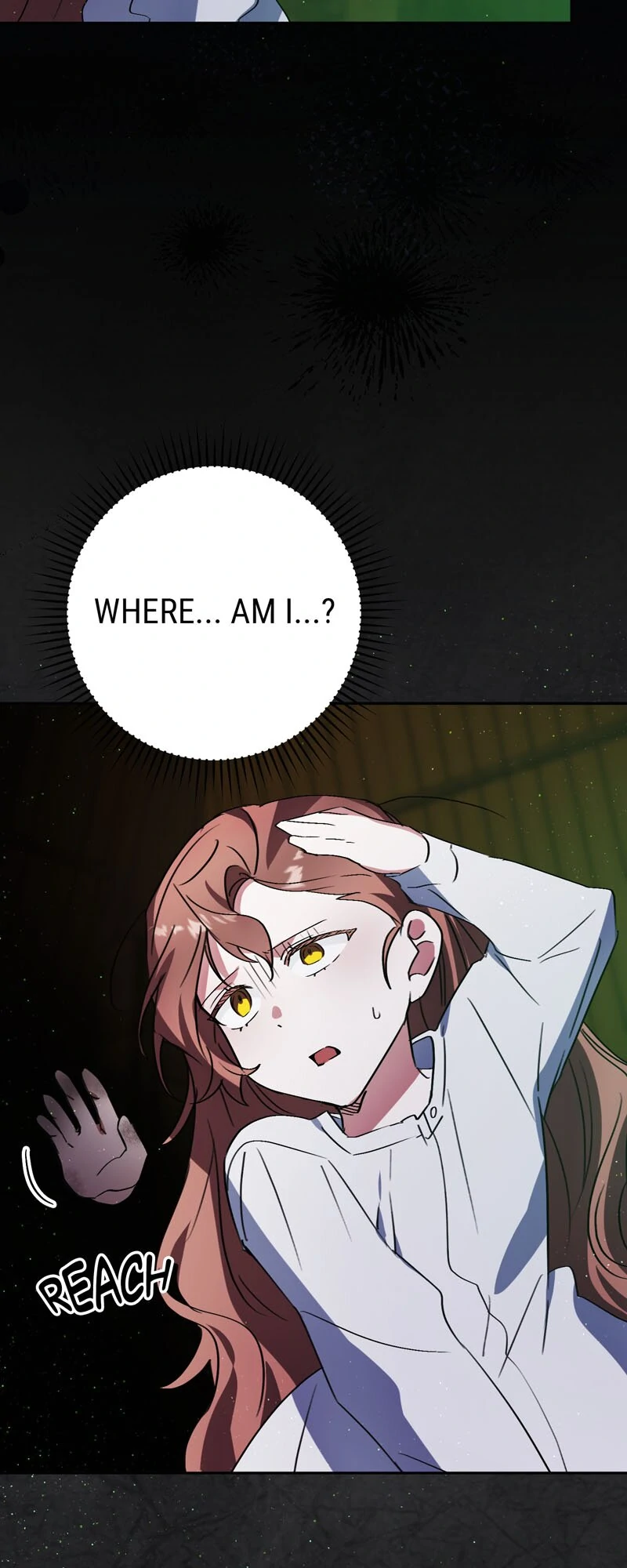 I Thought I was the Real Daughter chapter 49 page 14