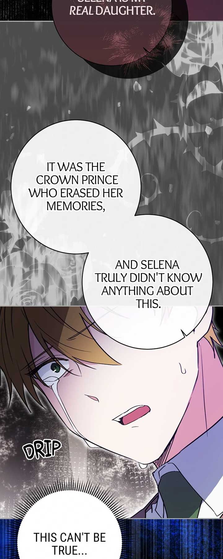 I Thought I was the Real Daughter chapter 52 page 46