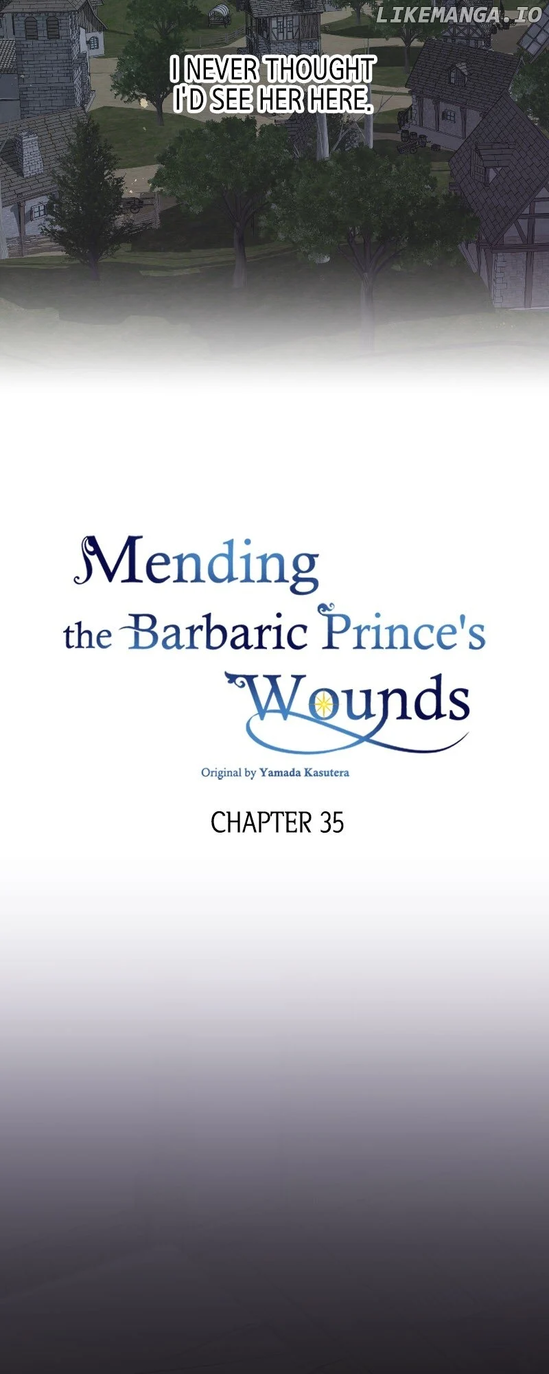Mending the Barbaric Prince’s Wounds chapter 35 page 4