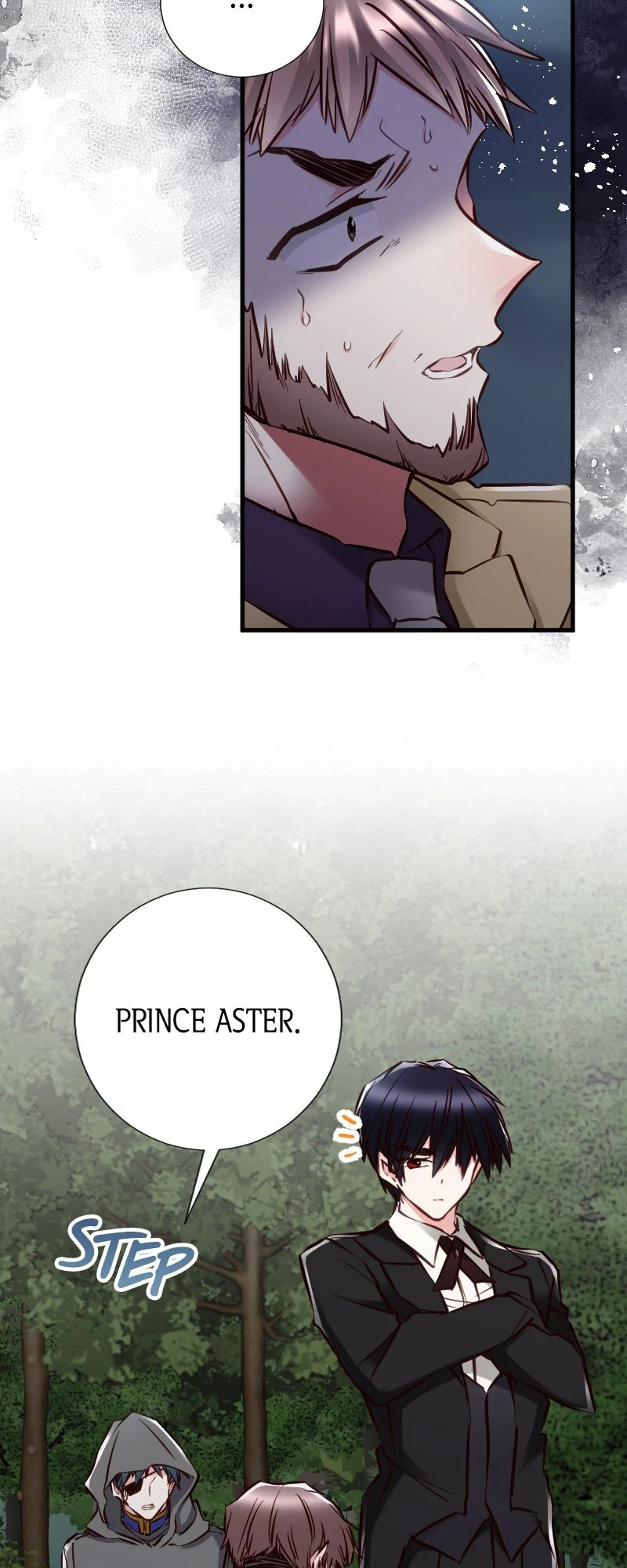 Mending the Barbaric Prince’s Wounds chapter 53 page 12