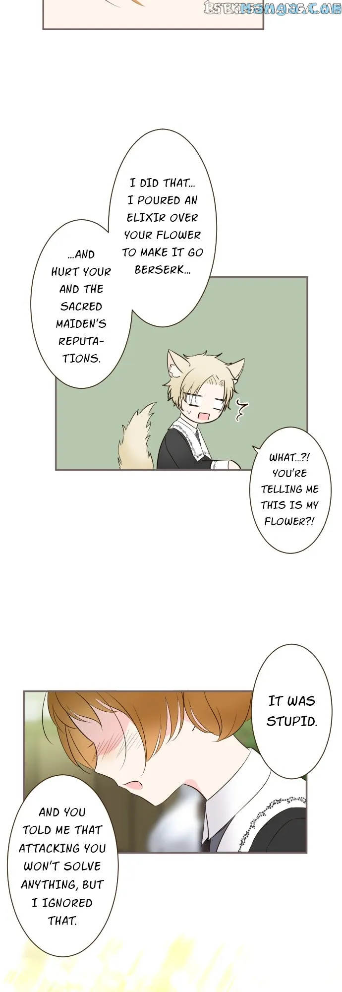 Protected by My Dragon Knight chapter 108 page 14