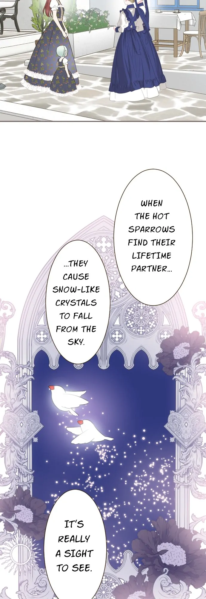 Protected by My Dragon Knight chapter 139 page 36