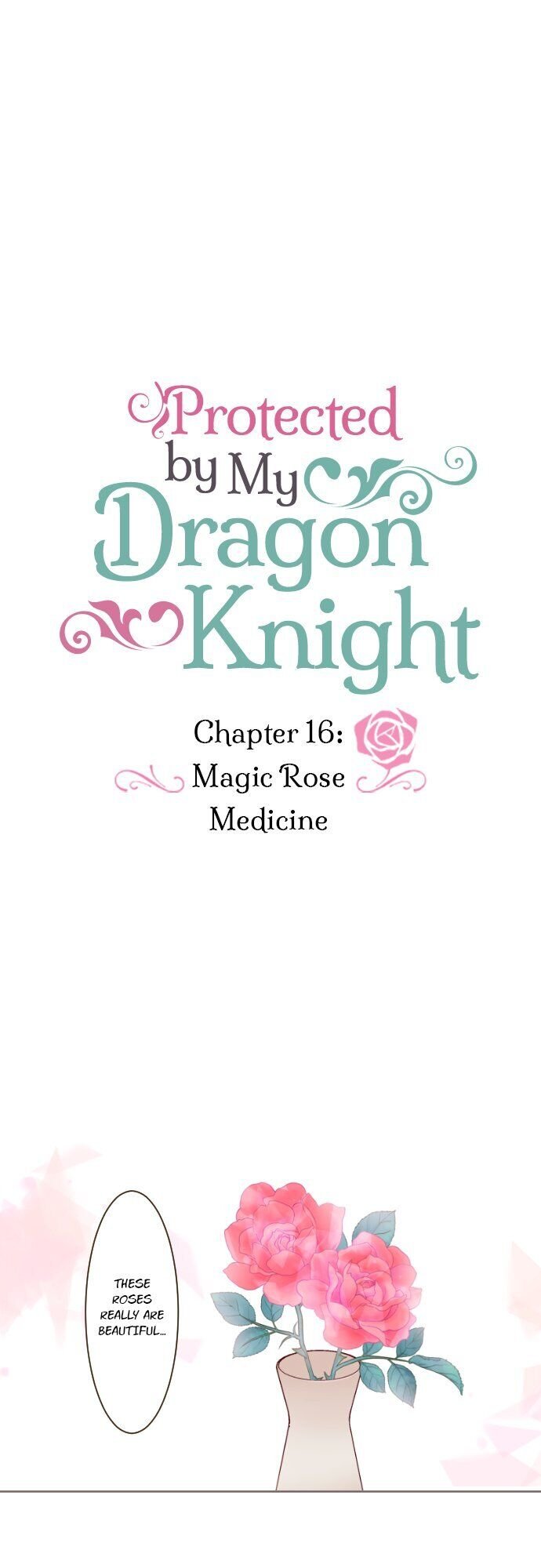 Protected by My Dragon Knight chapter 16 page 1