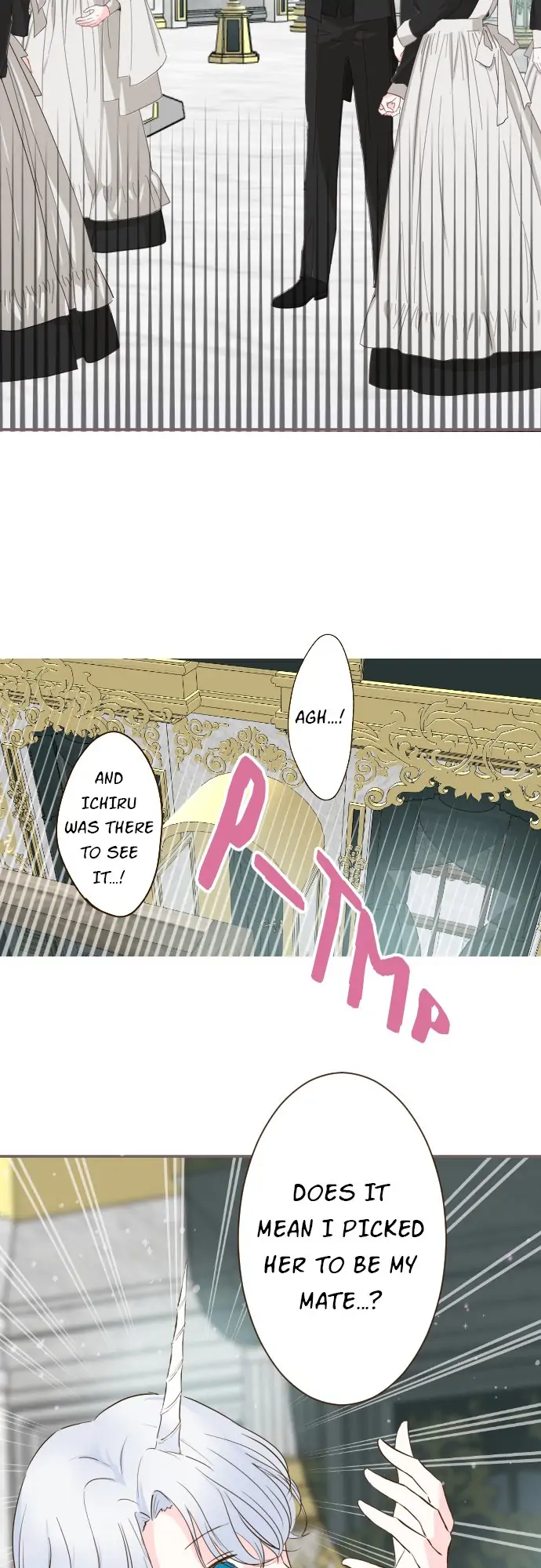 Protected by My Dragon Knight chapter 70 page 5