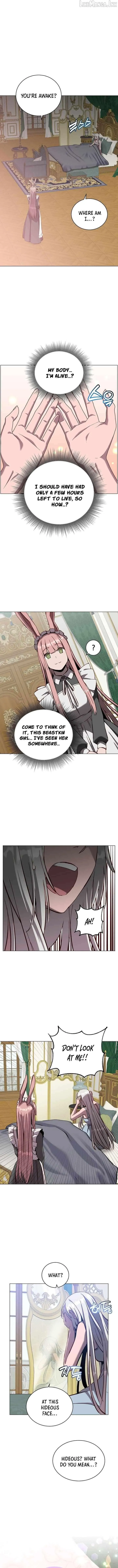 The Max Level Hero has Returned! chapter 242 page 4