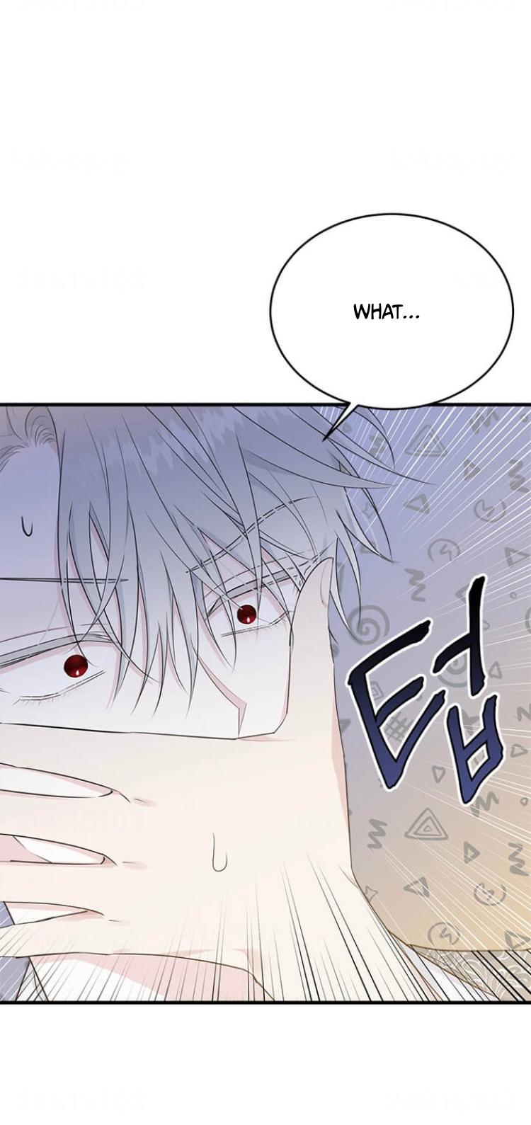 The Young Lady I Served Became a Young Master chapter 45 page 63