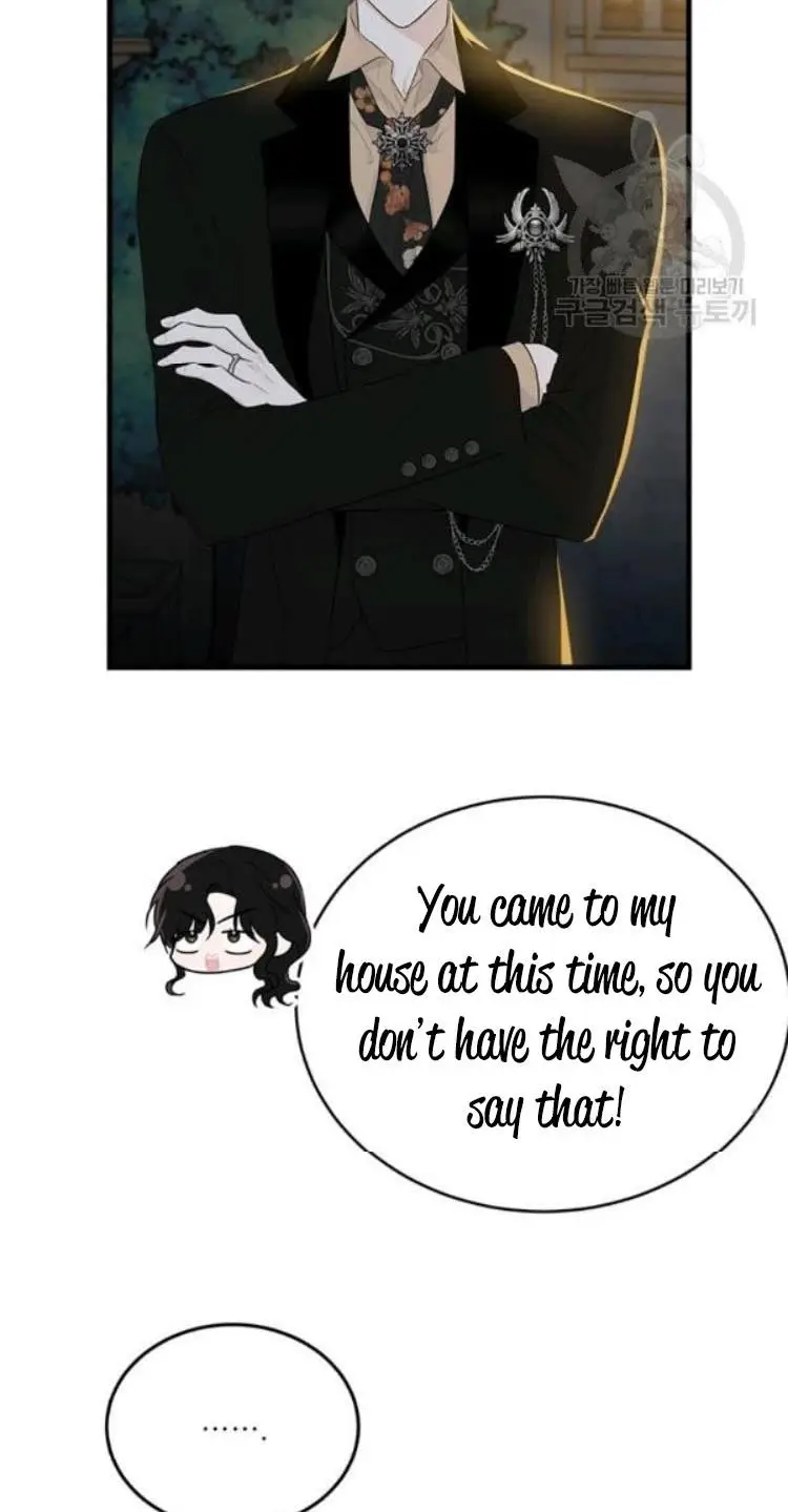 The Young Lady I Served Became a Young Master chapter 66 page 28