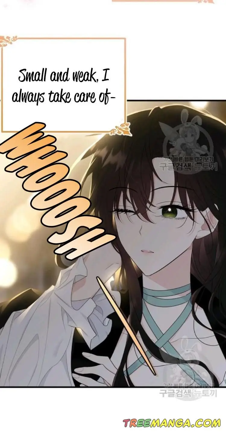 The Young Lady I Served Became a Young Master chapter 66 page 45