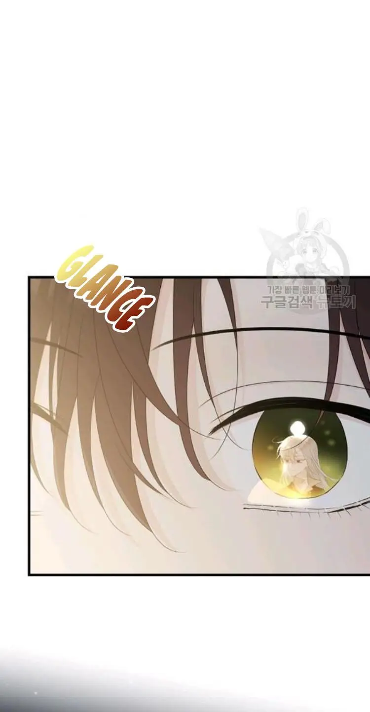 The Young Lady I Served Became a Young Master chapter 66 page 46