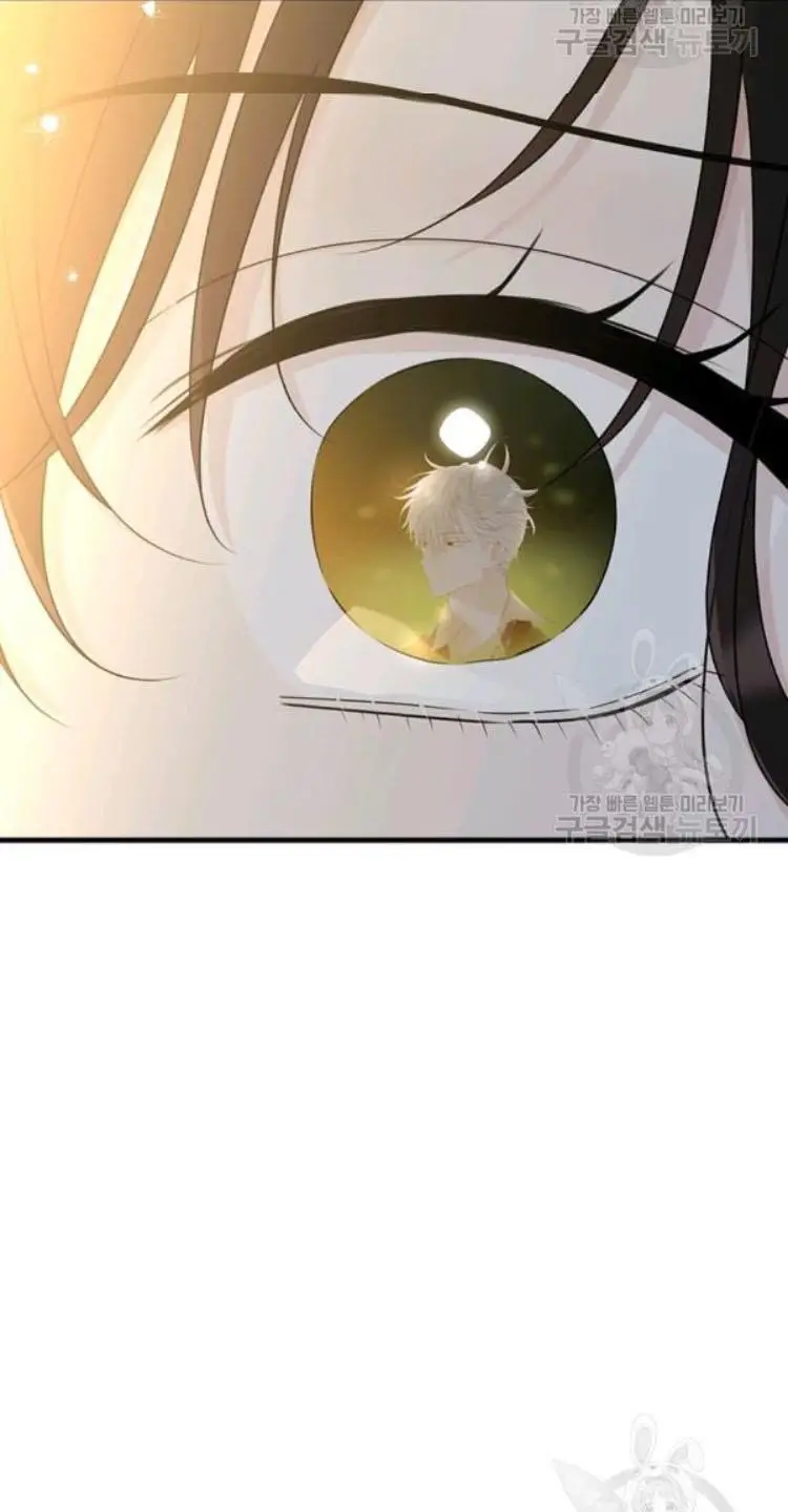 The Young Lady I Served Became a Young Master chapter 66 page 49