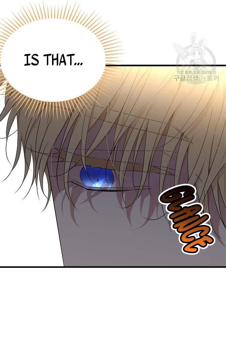 The Young Lady I Served Became a Young Master chapter 73 page 47