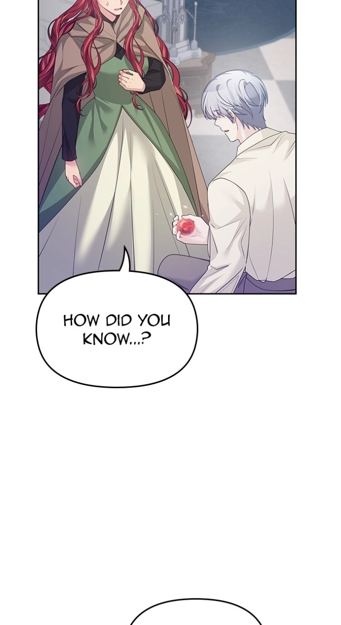 When Villainess And Villain Meet chapter 112 page 29