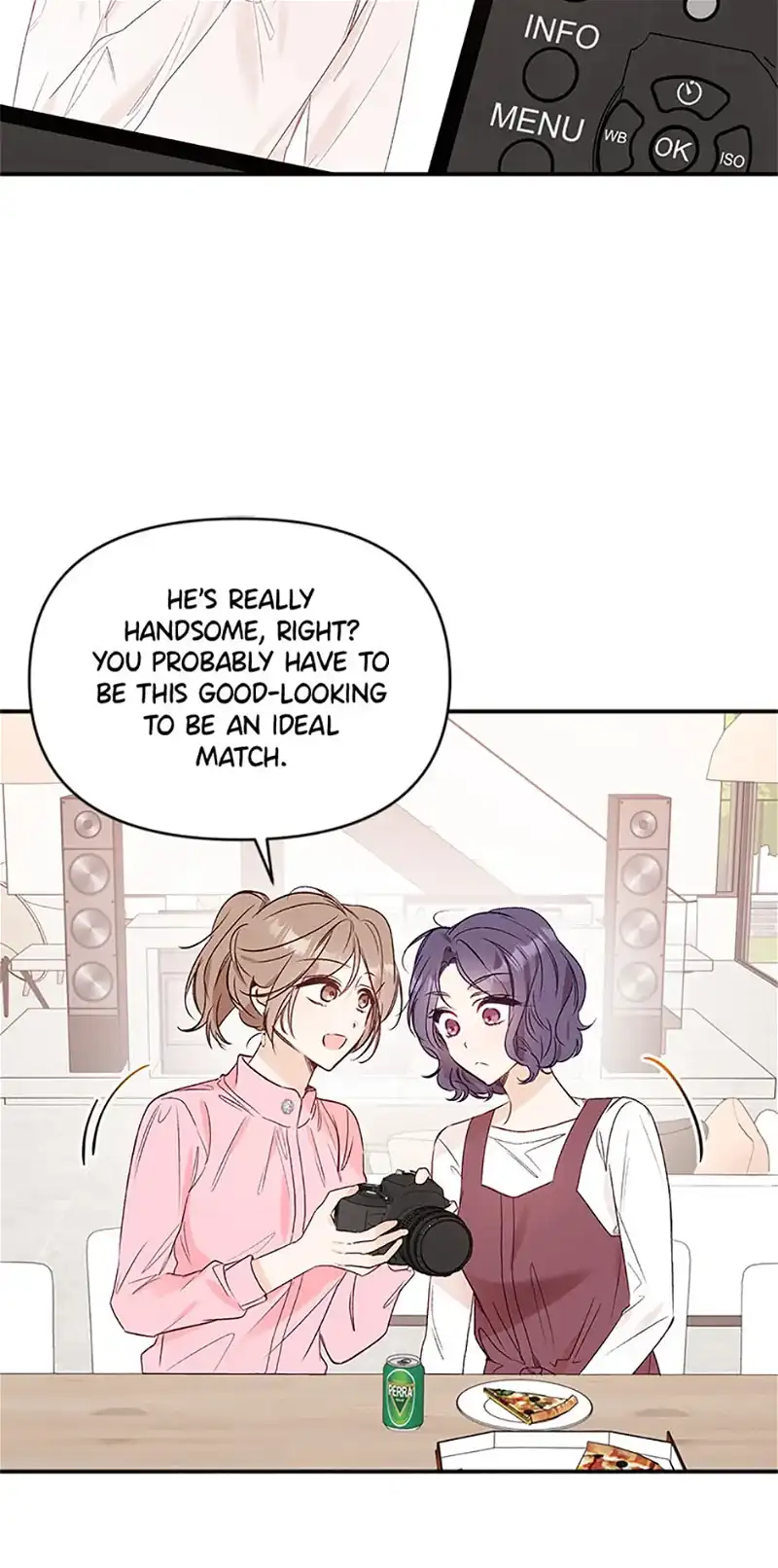 Ideal Match Delivery Service chapter 33 page 49
