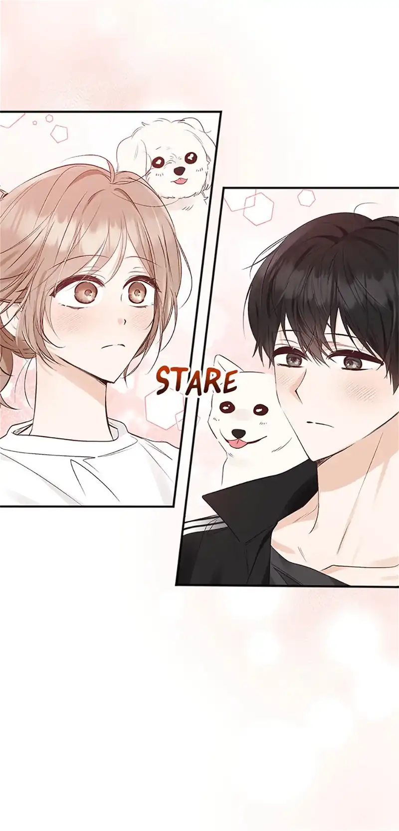 Ideal Match Delivery Service chapter 36 page 42