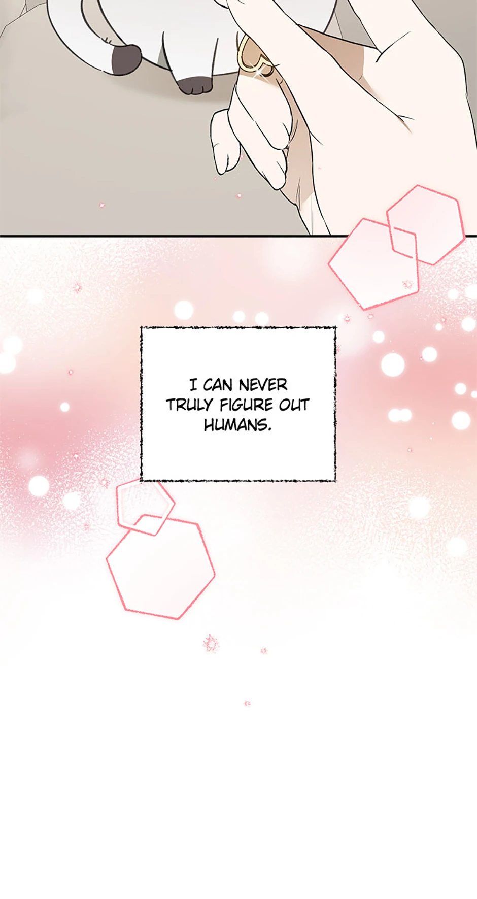 Ideal Match Delivery Service chapter 72 page 7