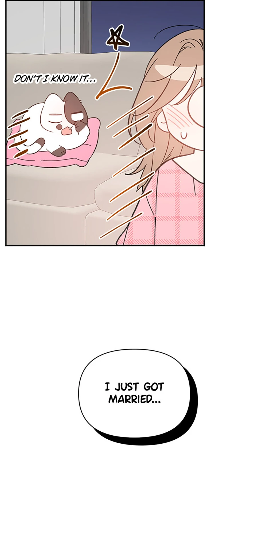 Ideal Match Delivery Service chapter 72 page 67