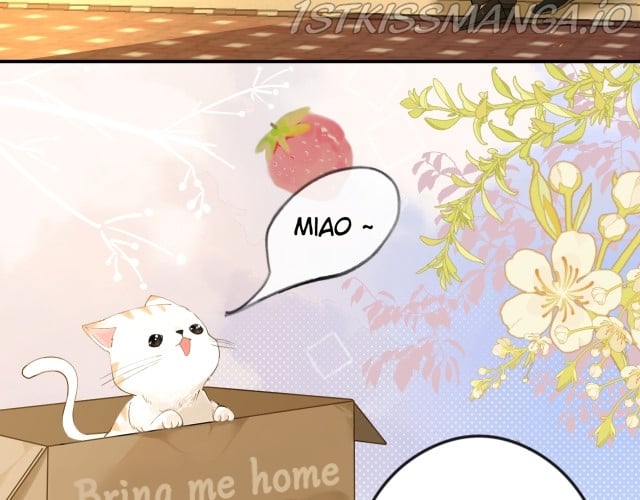 What Should I Do If I Found A Witch? chapter 1 page 67