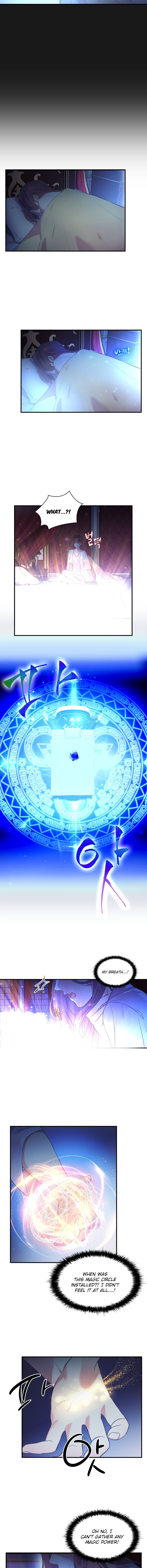 The Beloved Little Princess chapter 1 page 3