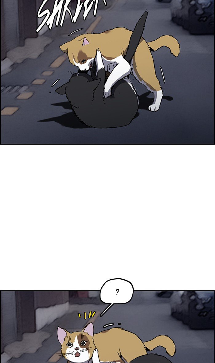Wind Breaker chapter 239 page 2