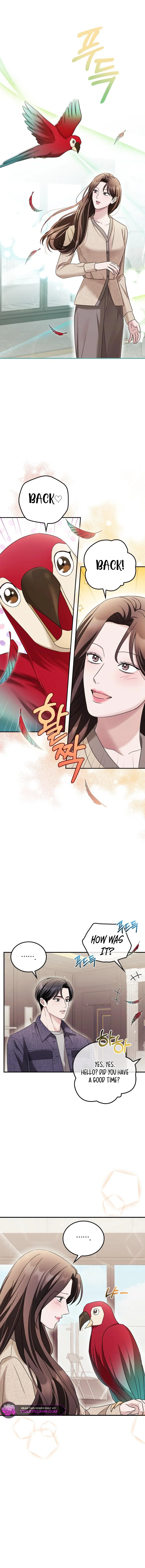 Couple, How Far You Can Go? chapter 26 page 8