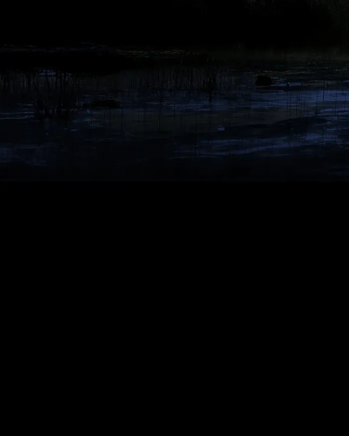 The main character hides his strength chapter 28 page 172