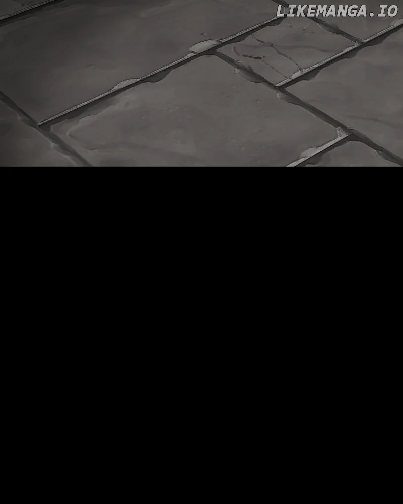 The main character hides his strength chapter 38 page 117