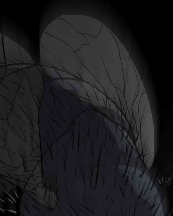 The main character hides his strength chapter 57 page 123