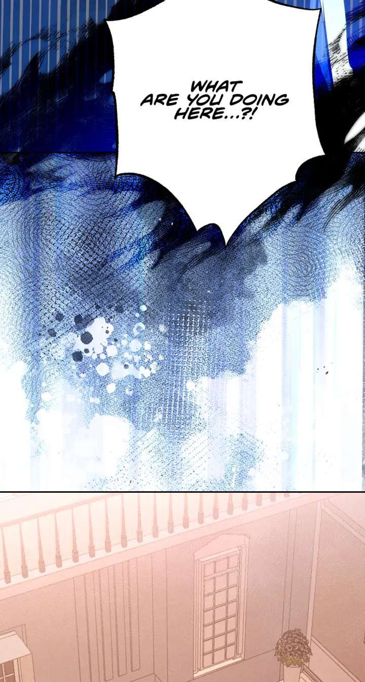 Duchess Mecklen’s Elegant Rebellion chapter 39 page 14
