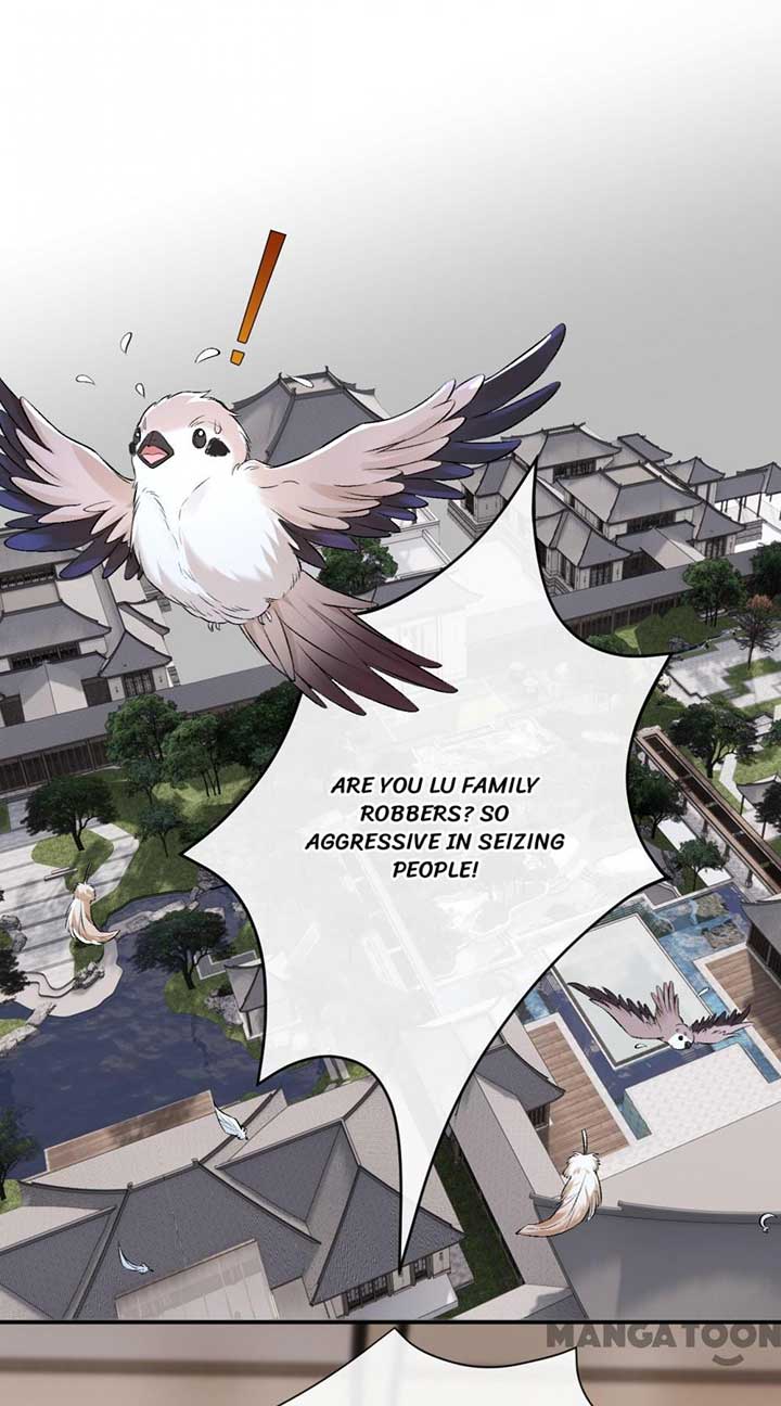 Madam and Her Daily Online Face-Slapping chapter 19 page 1