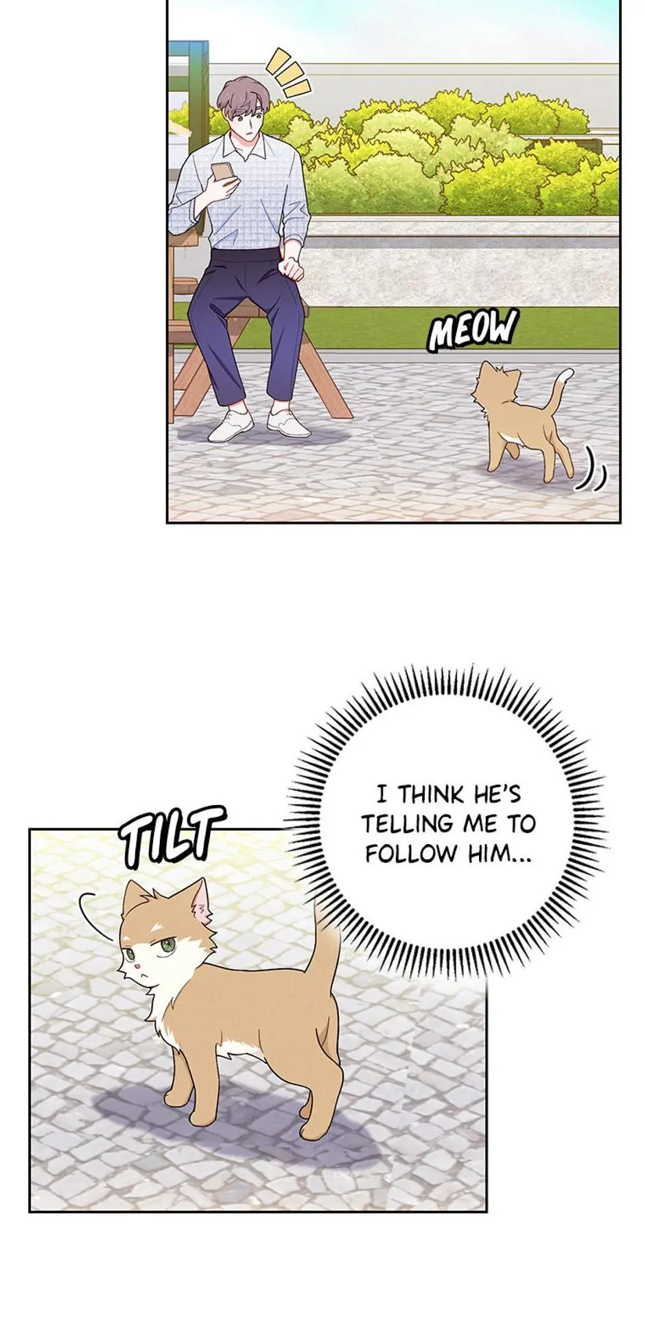 The Tyrant Princess Wants to Get Married! chapter 51 page 56