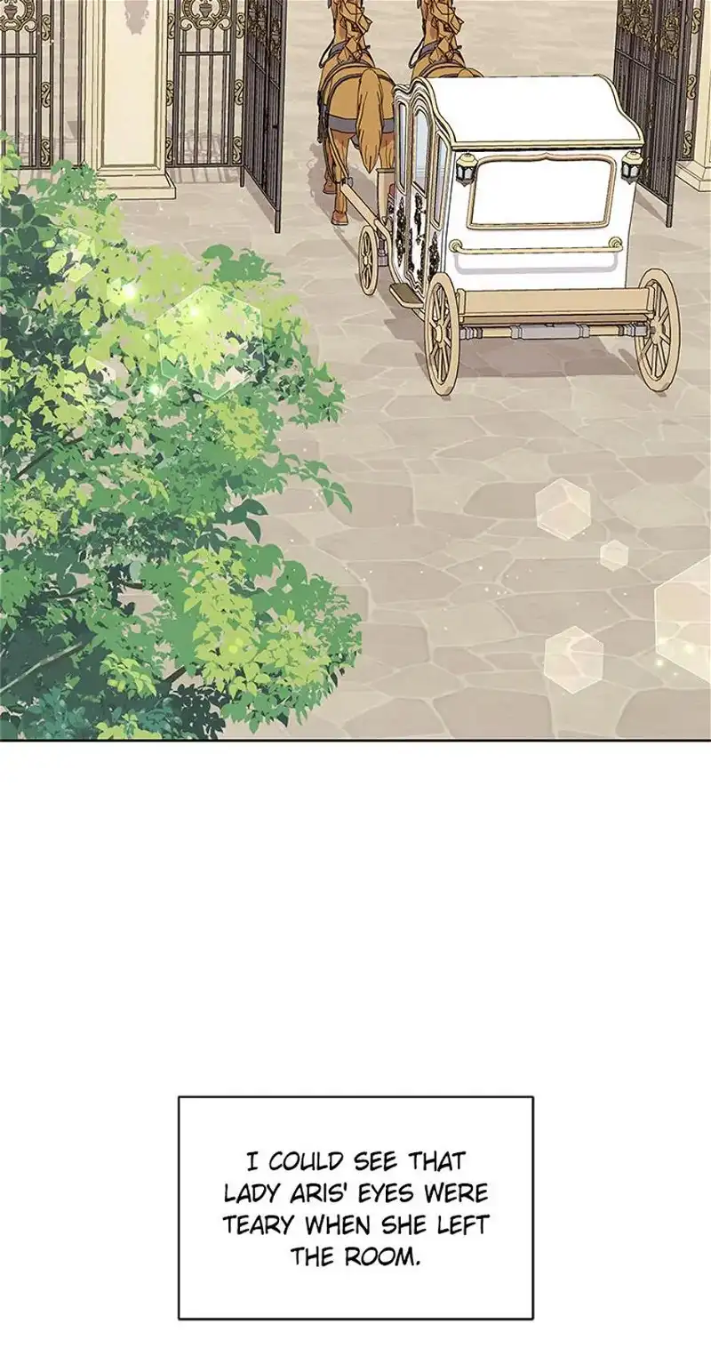 The Flower That Swallowed the Sun chapter 52 page 41