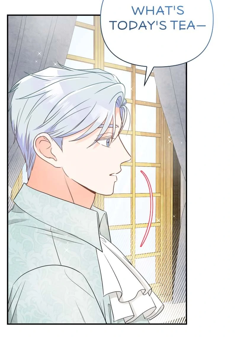 The Crown Prince’s Maid Makes Tea Very Well chapter 28 page 43