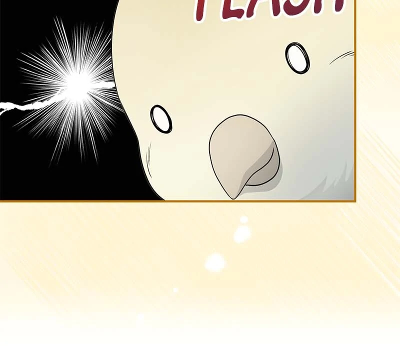 The Crown Prince’s Maid Makes Tea Very Well chapter 43 page 8