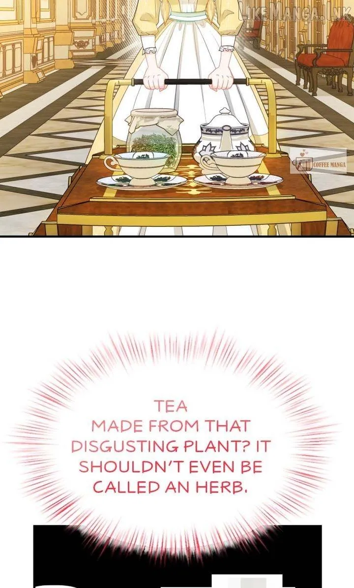 The Crown Prince’s Maid Makes Tea Very Well chapter 55 page 29